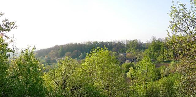 Полтава: міський гід