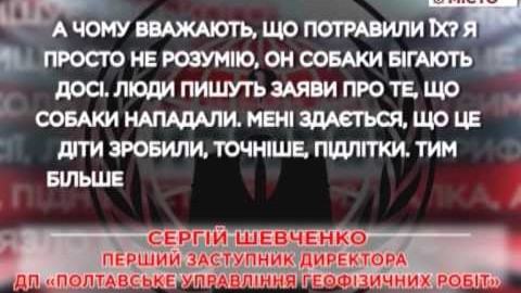 Кадр сюжету: На полтавському підприємстві потруїли собак